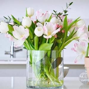 Meet your Posher, Chocky